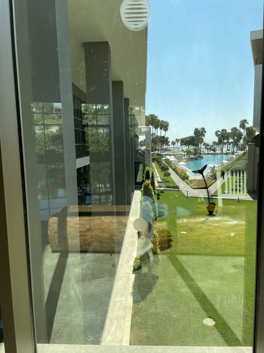 Lobby Acanthus Cennet Barut Collection