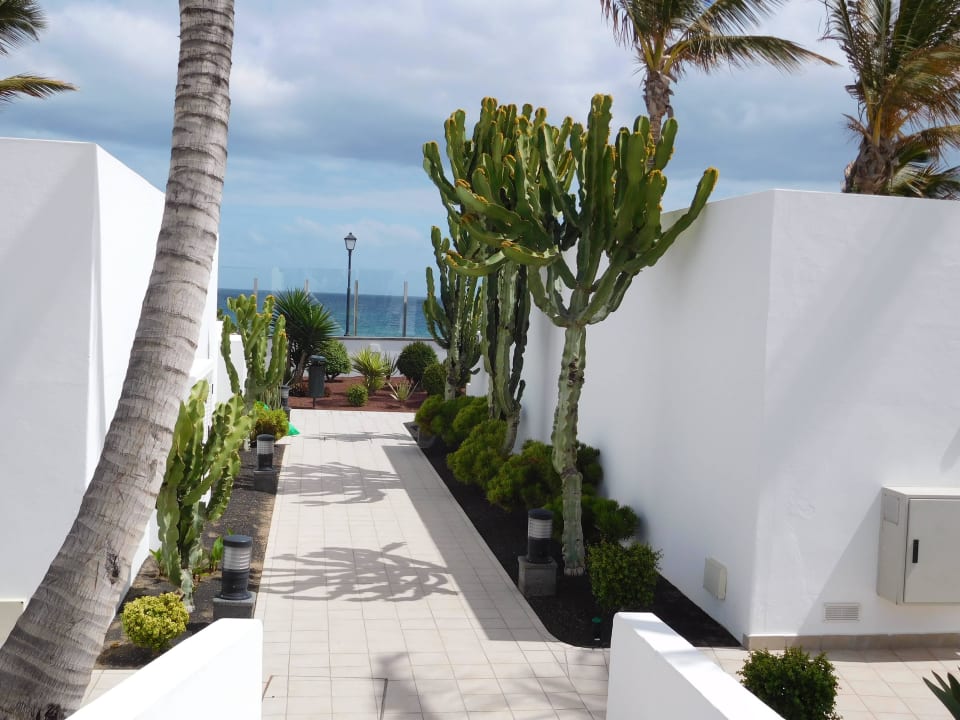 Blick aufs Meer  Hotel Las Costas