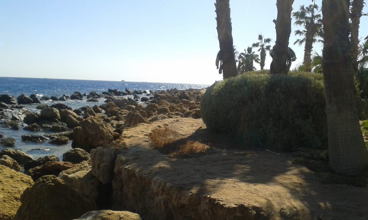 Strand Pickalbatros Citadel Resort