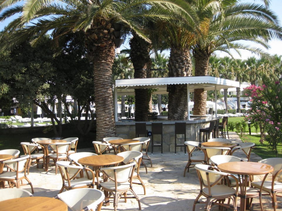 Bar Asteria Collection Side