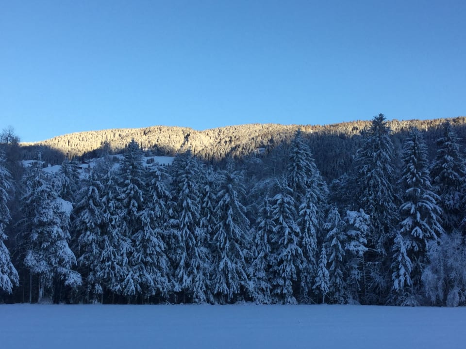 Ausblick Hotel Hubertushof