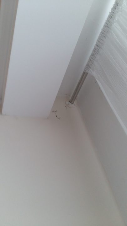 Zimmer Hotel Agricola