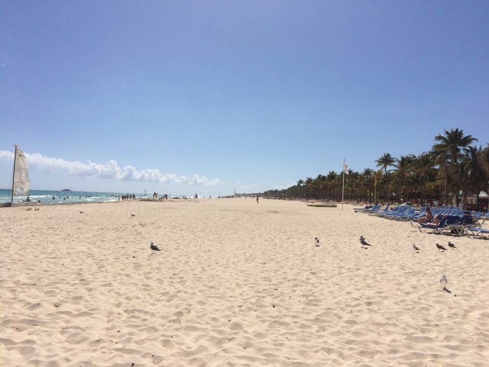 Strand Viva Maya by Wyndham - All Inclusive Resort