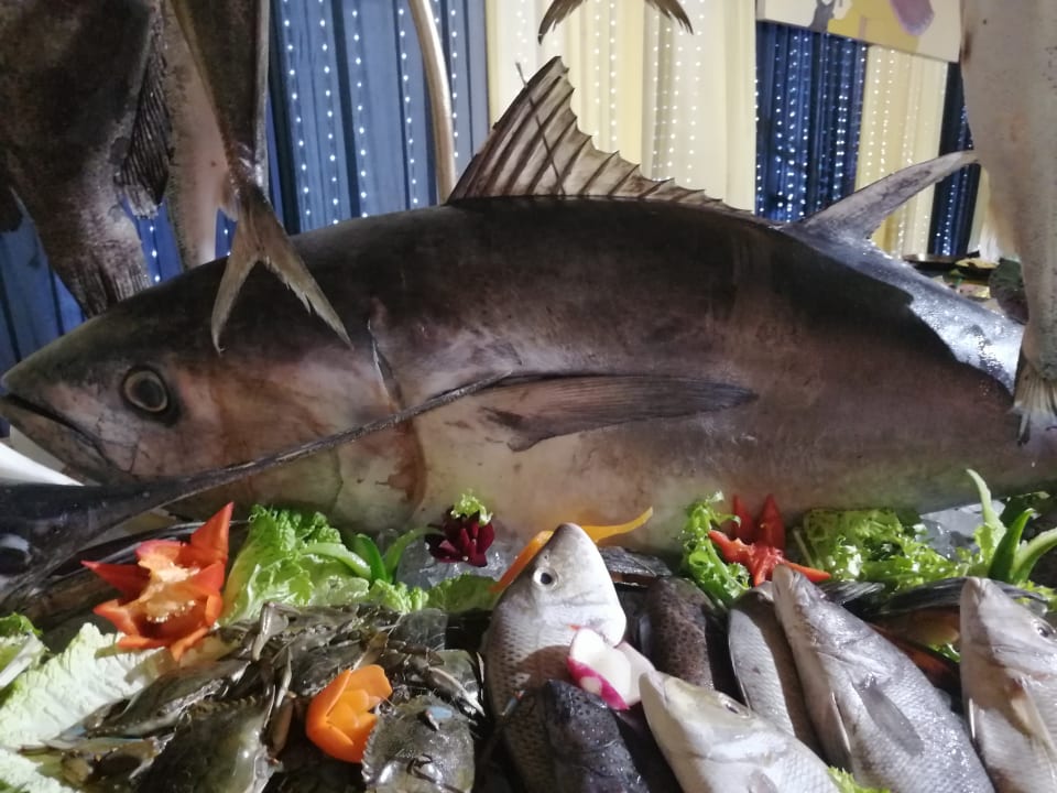 Gastro Sentido Caribbean World Soma Bay