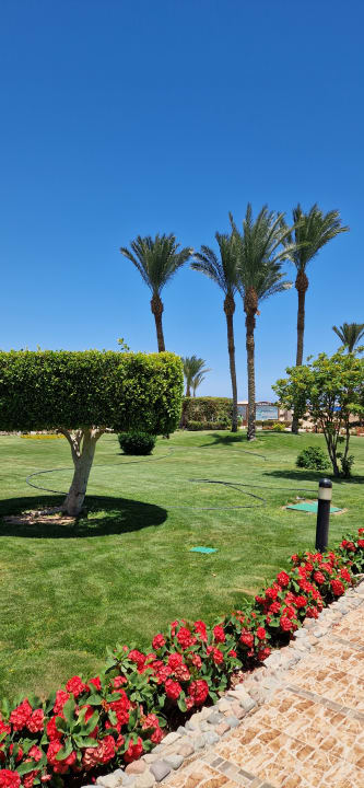 Gartenanlage Hurghada Long Beach Resort