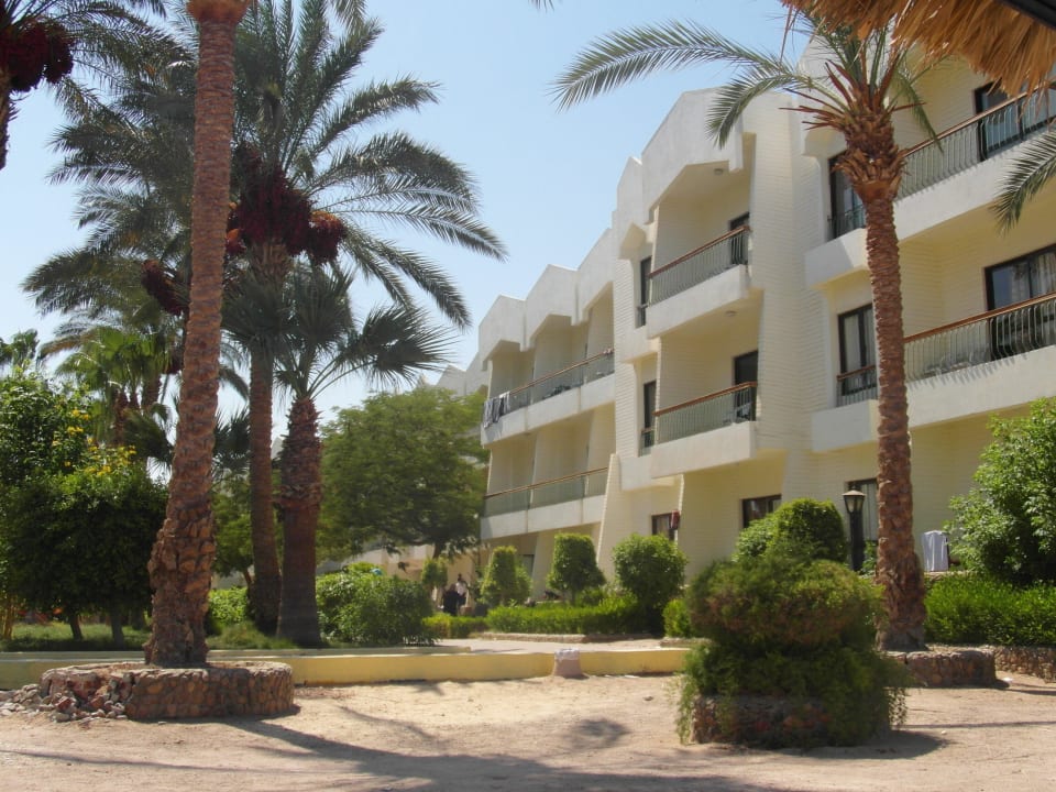 Hotel Regina Resort and Aqua Park Hurghada