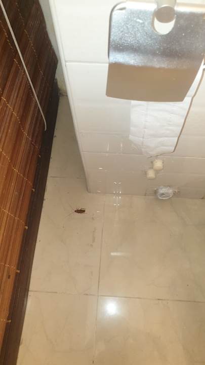 Zimmer Hibiscus Boutique Hotel