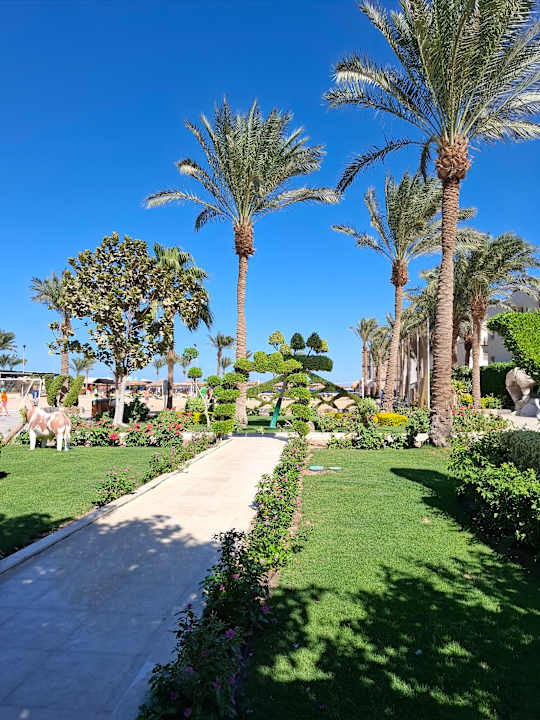 Außenansicht Seagull Beach Resort