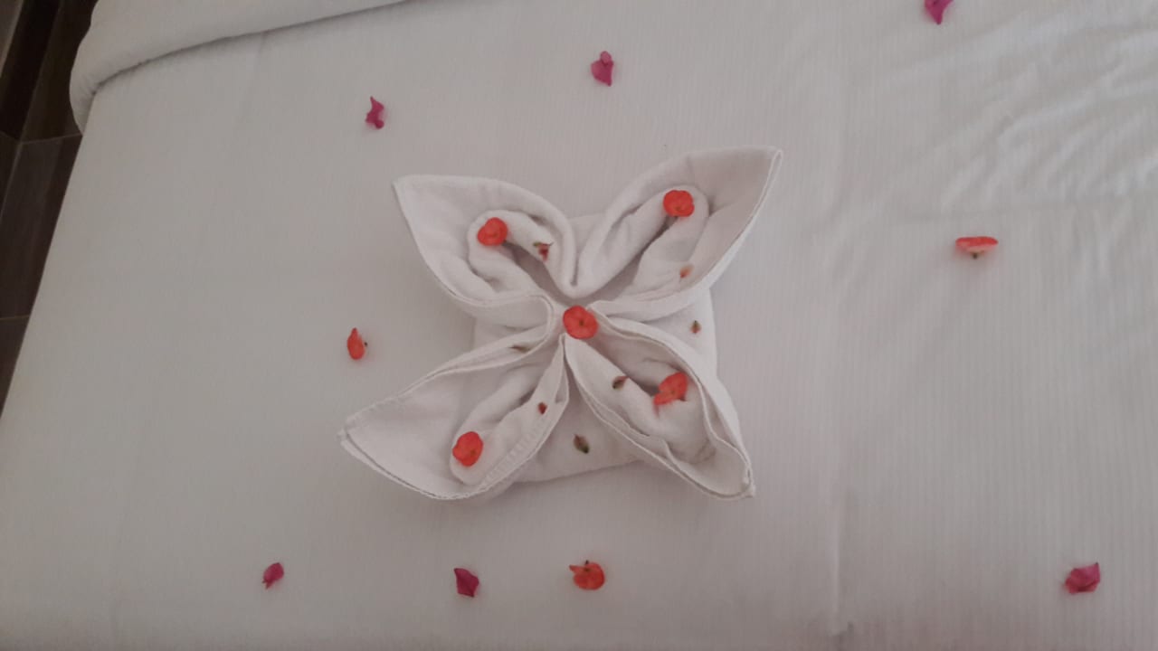 Zimmer Pickalbatros Aqua Park Resort - Sharm El Sheikh