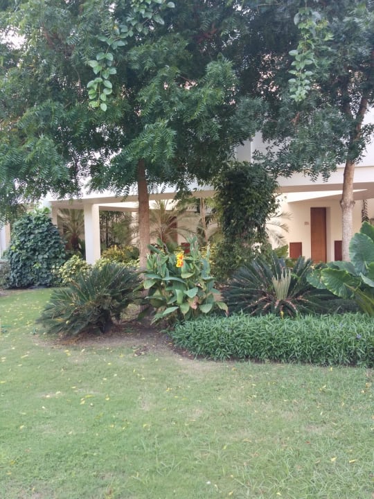 Garten Decameron Baru