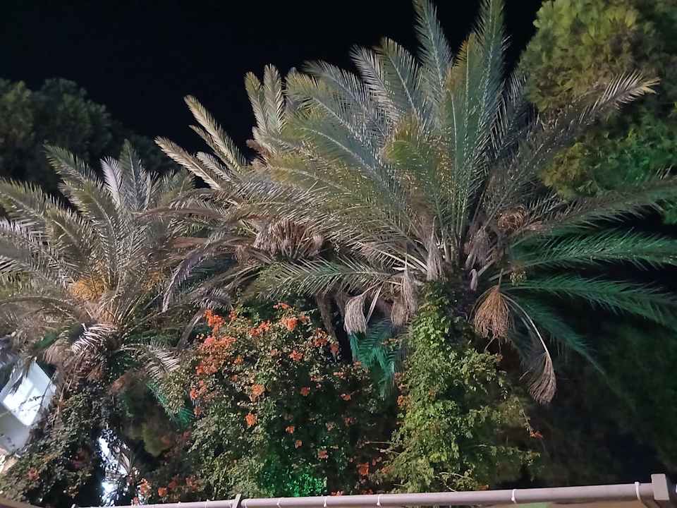 Gartenanlage Club Sidelya Hotel