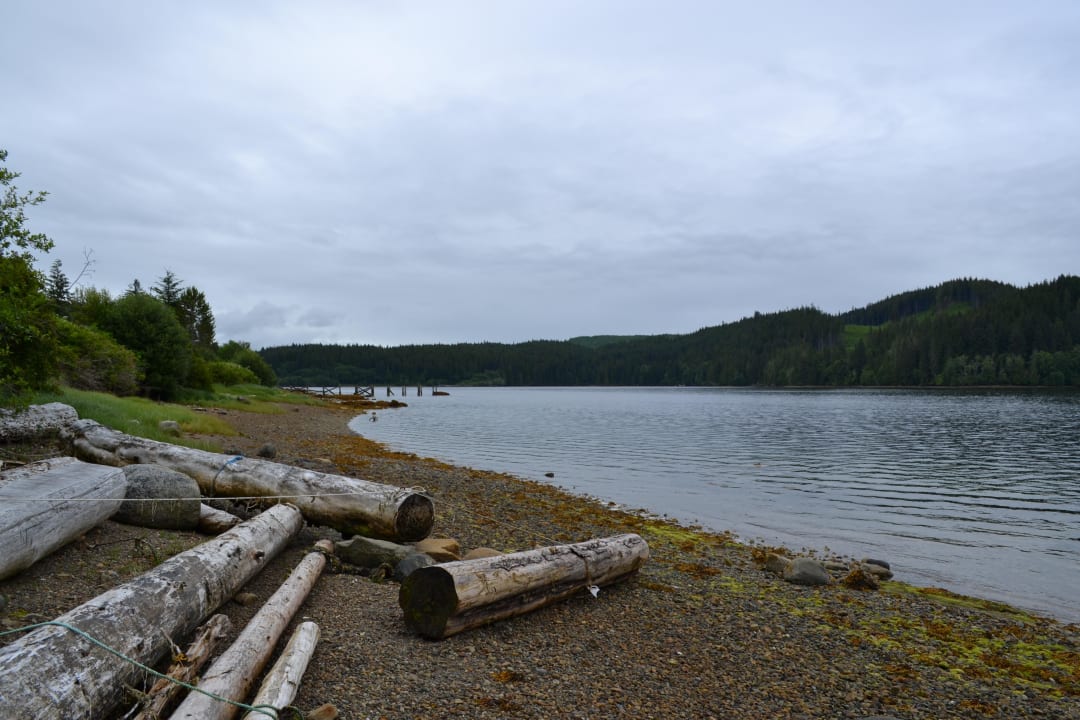 Strand Dolphin House Bed & Breakfast