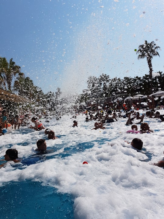 Pool Hane Family Resort