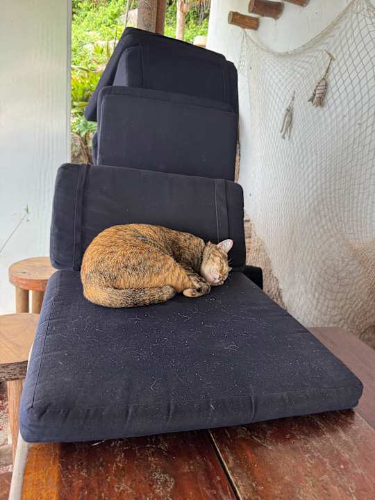 Sonstiges Hotel Coral View Resort