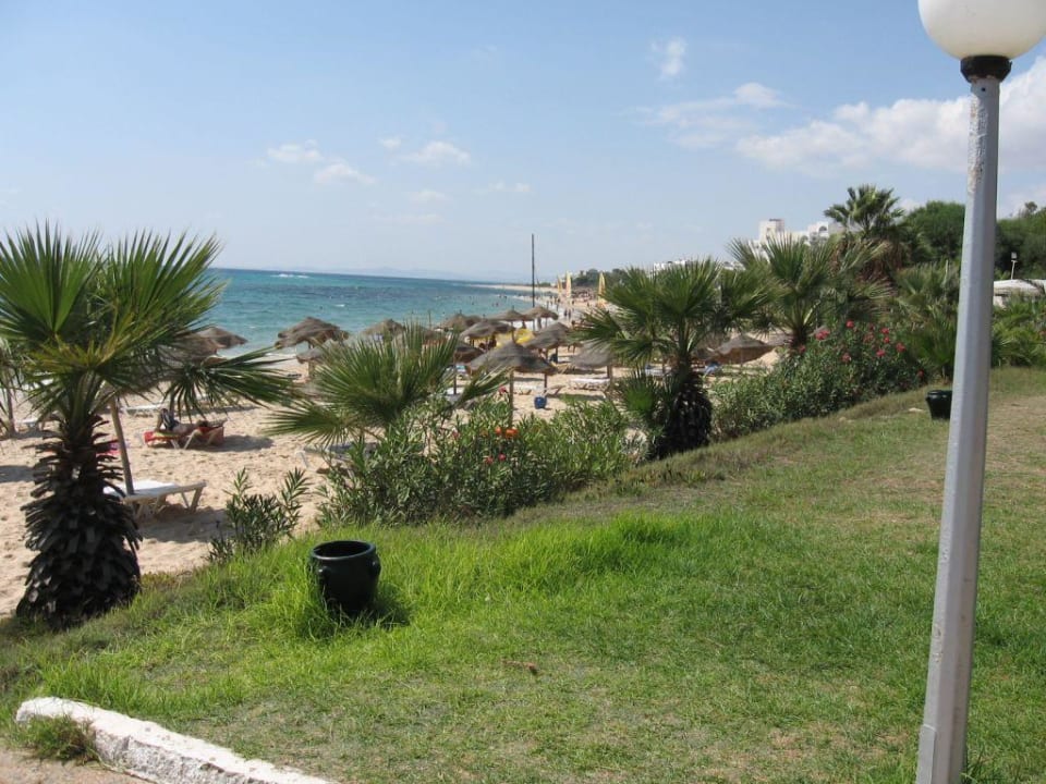 Liegewiese mit Strand TUI BLUE Palm Beach Hammamet