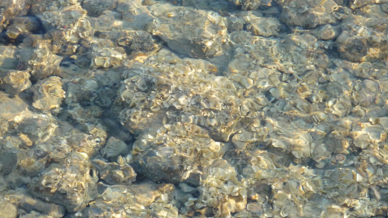 Glasklare Sache Beach Albatros Resort