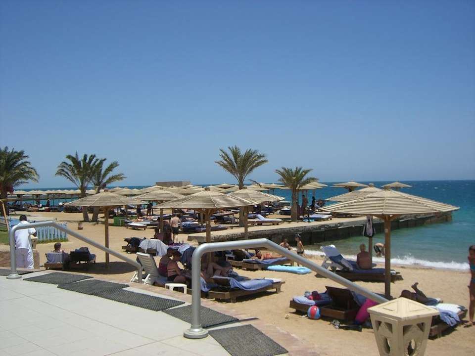 Blick auf die Liegen am Strand Palm Beach Resort
