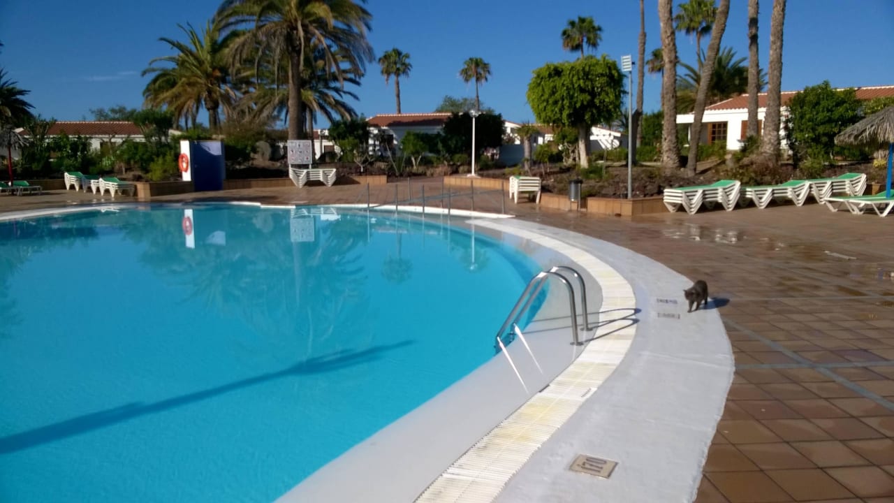 Pool Bungalows Las Vegas Golf