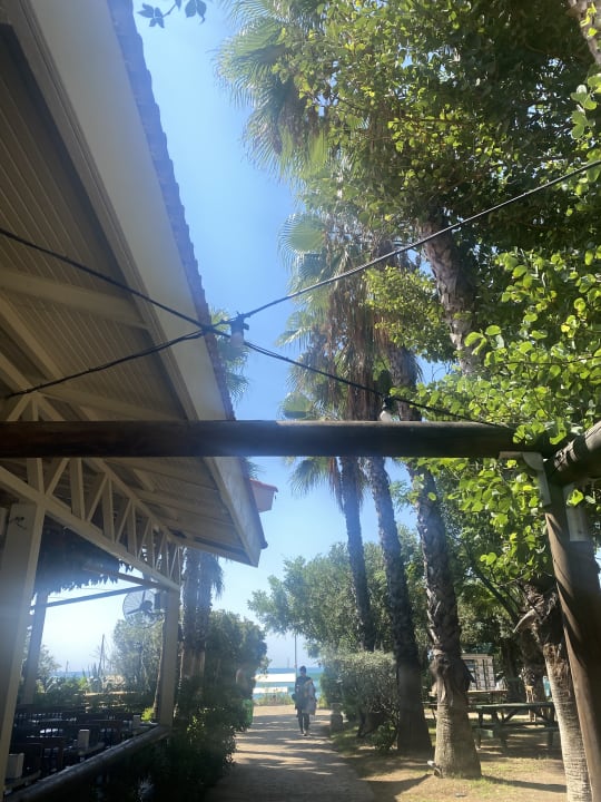 Gartenanlage Belconti Resort Hotel