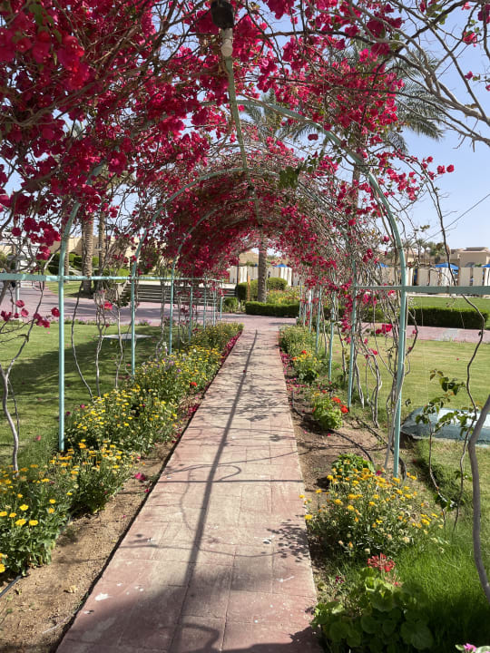 Gartenanlage Cleopatra Luxury Resort Makadi Bay