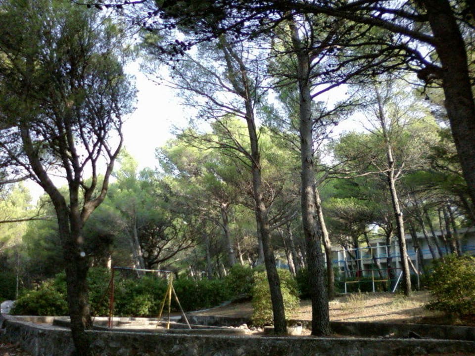 For children Hotel Alem