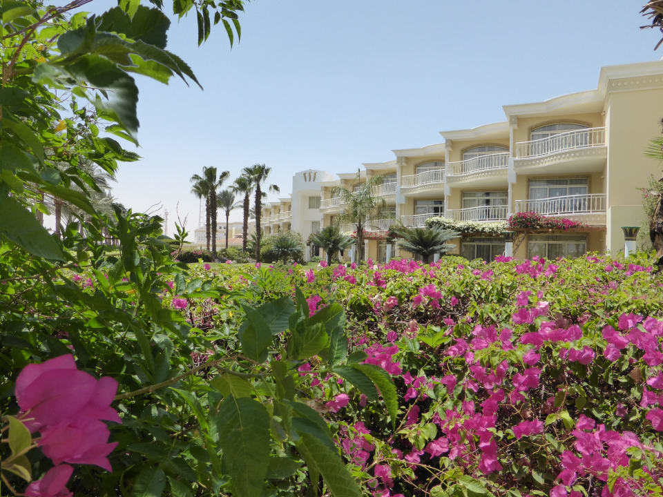 Superiorzimmer am Meer Palm Royale Resort - Soma Bay