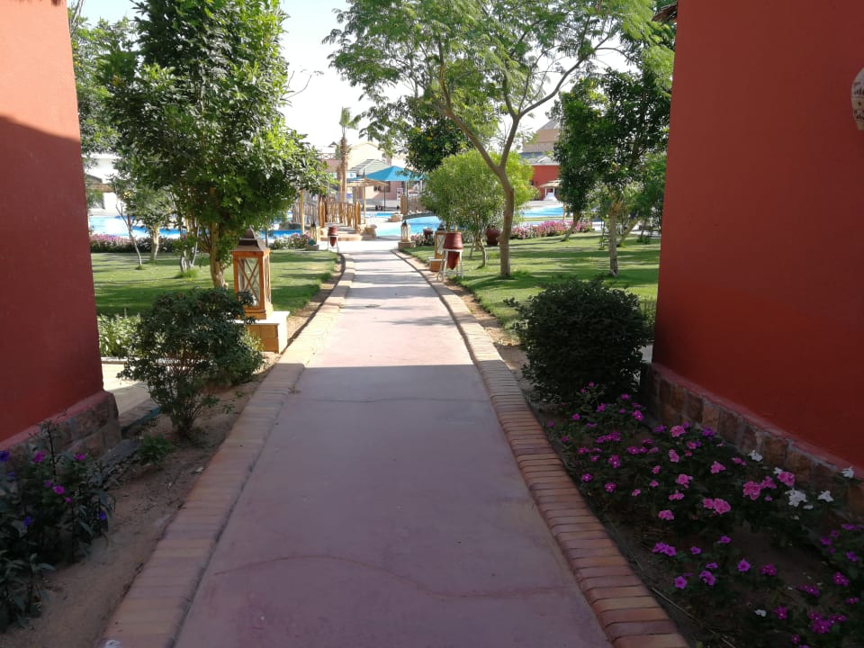 Gartenanlage Pickalbatros Jungle Aqua Park Resort - Neverland Hurghada