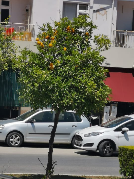 Ausblick Side Aquamarin Resort & Spa