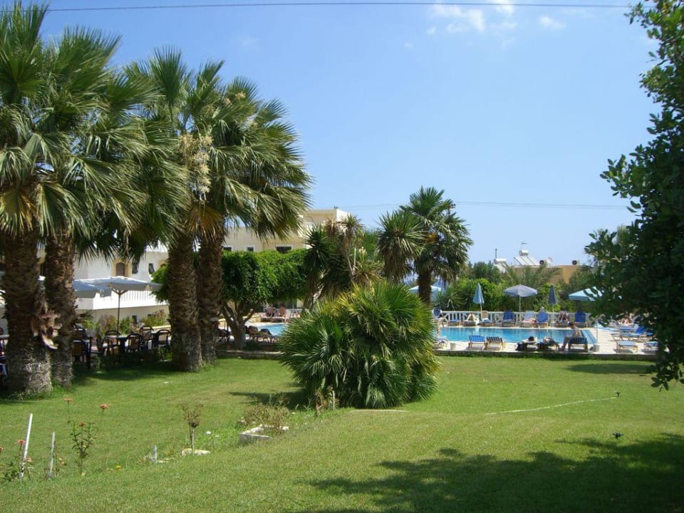 Gartenanlage und Pool Hotel Paloma Garden