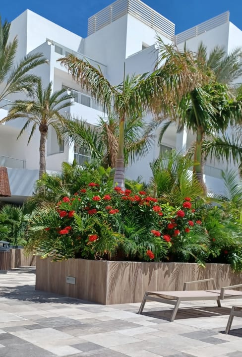 Gartenanlage Hotel Riu Palace Jandia