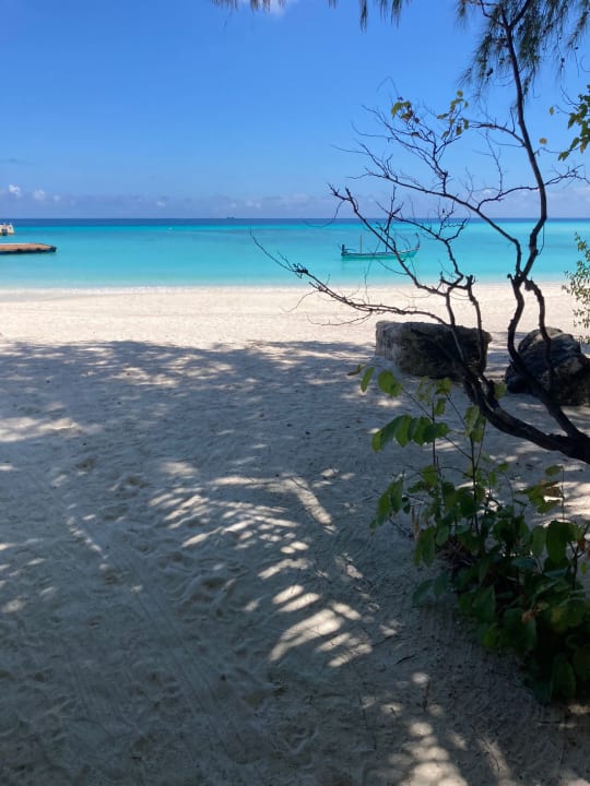 Strand Summer Island Maldives