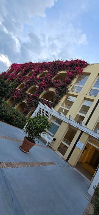 Gartenanlage TUI MAGIC LIFE Calabria