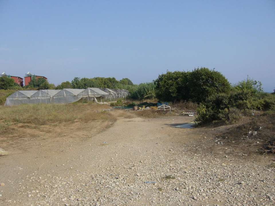 Sun Flipper Hotel Club Life Kizilot