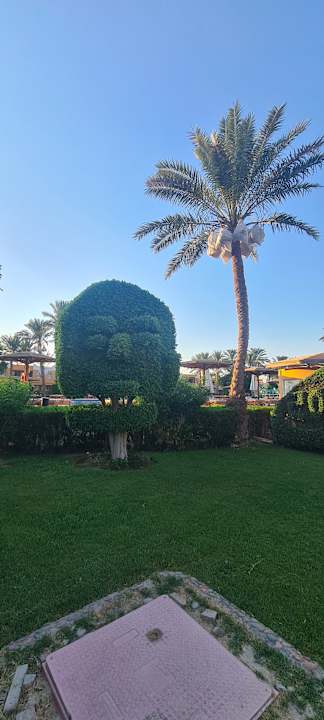 Gartenanlage Golden Beach Resort