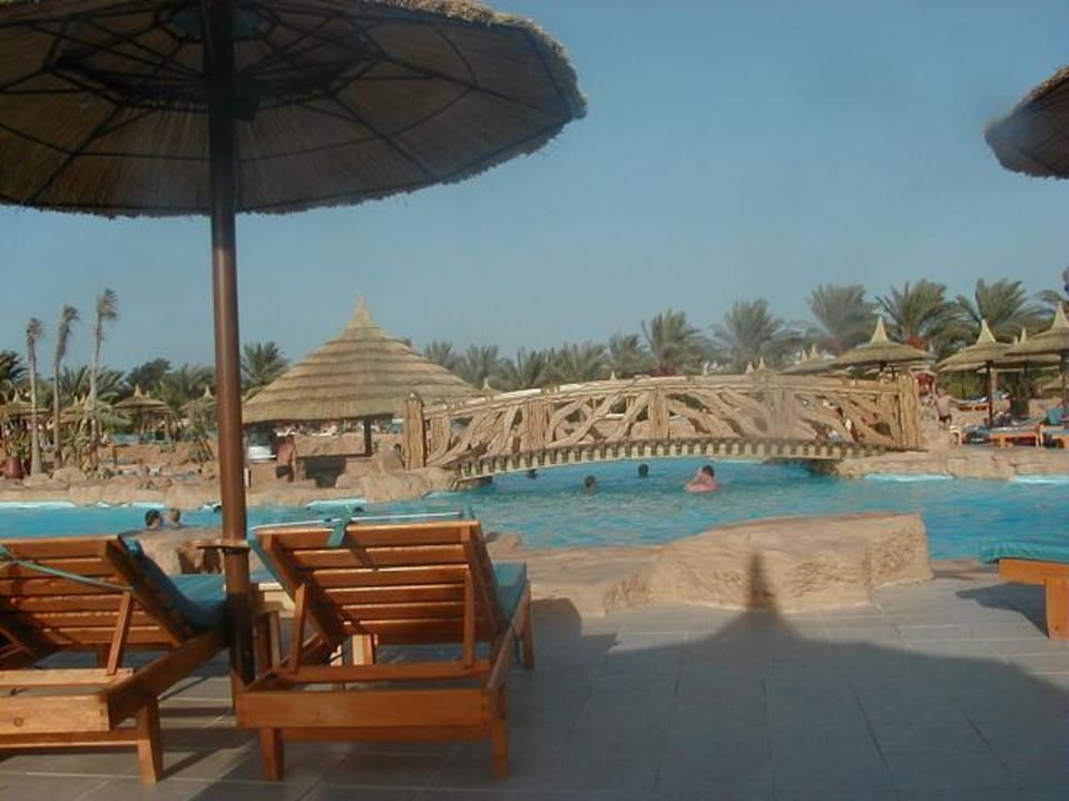 Die neue Poolanlage Beach Albatros Resort