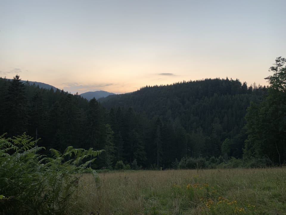Ausblick Wellnesshotel Forsthaus Auerhahn