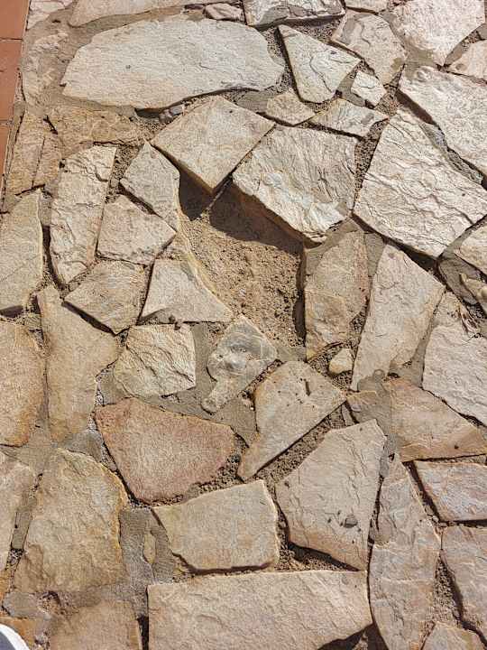 Gartenanlage SBH Costa Calma Beach Resort