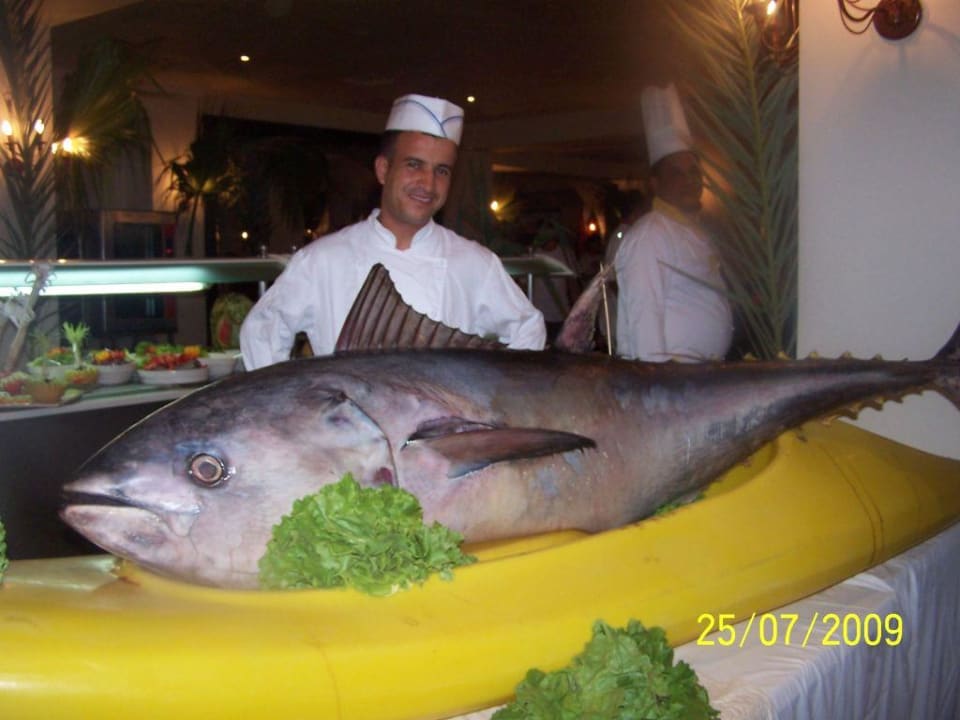 Ryba Hotel Thalassa Mahdia