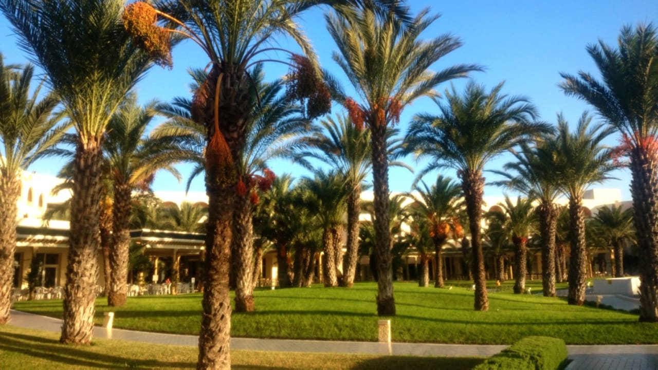 Gartenanlage Iberostar Waves Averroes