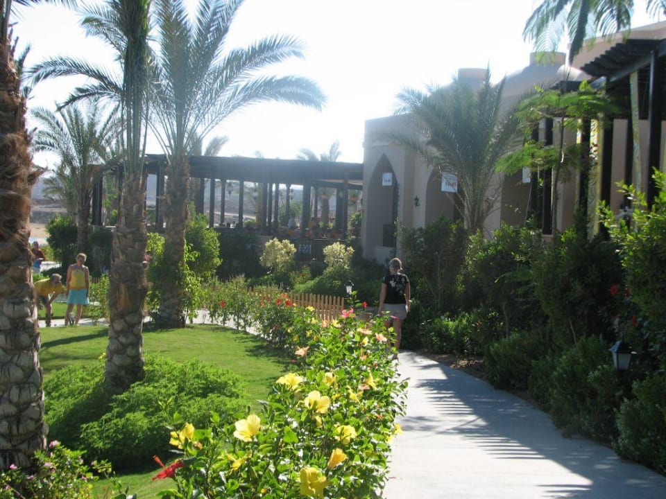 Blck aufs Restautrant TUI MAGIC LIFE Kalawy