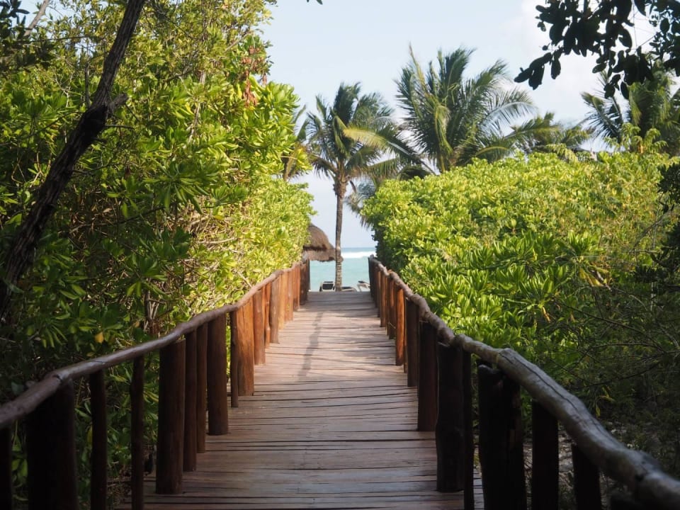 Reiseexperte on Tour Grand Palladium Riviera Maya