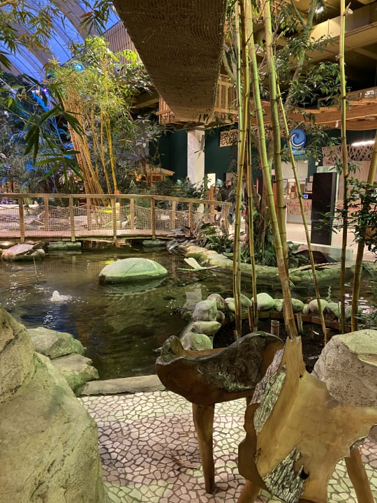 Sonstiges Center Parcs Park Allgäu