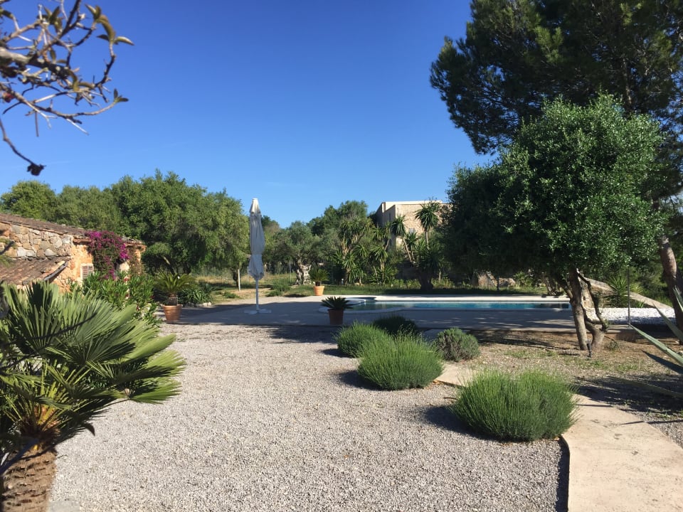 Gartenanlage Finca S Olivar d Es Coscois