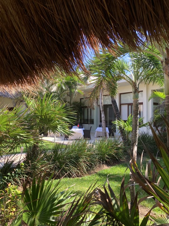 Gartenanlage Akumal Bay Beach & Wellness Resort