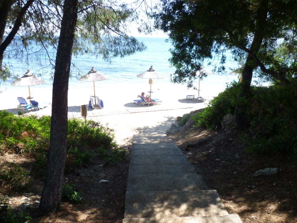 Strand Blue Dolphin Resort Hotel