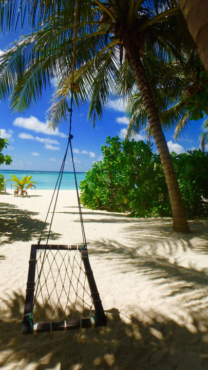 Rozrywka  Summer Island Maldives