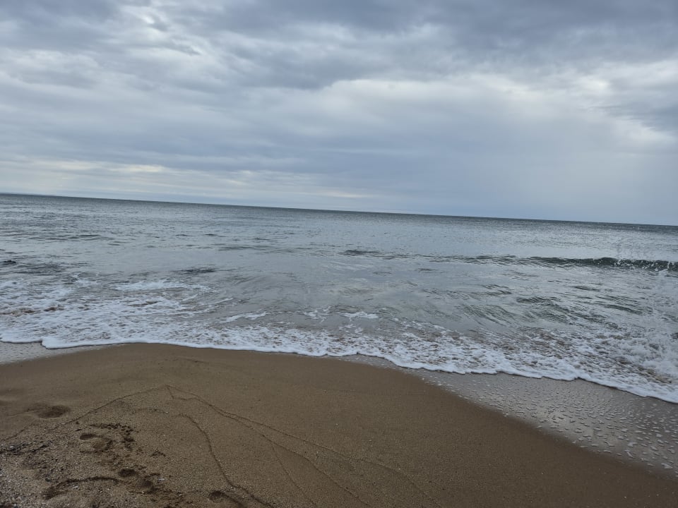 Strand Sentido Marea