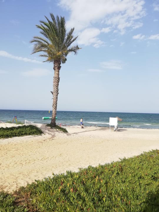 Strand TUI BLUE Scheherazade