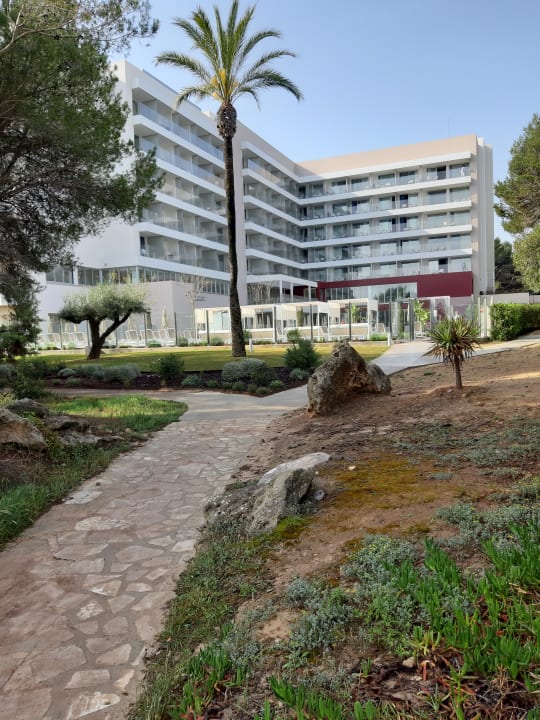 Pool Hipotels Bahía Cala Millor