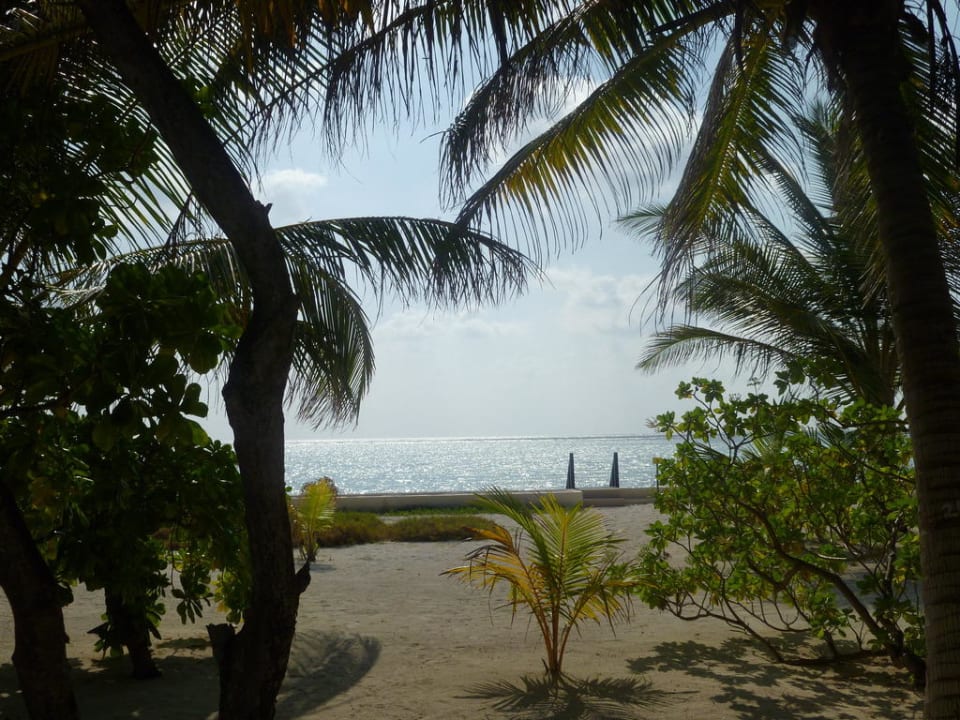 Blick vom Bungalow Summer Island Maldives